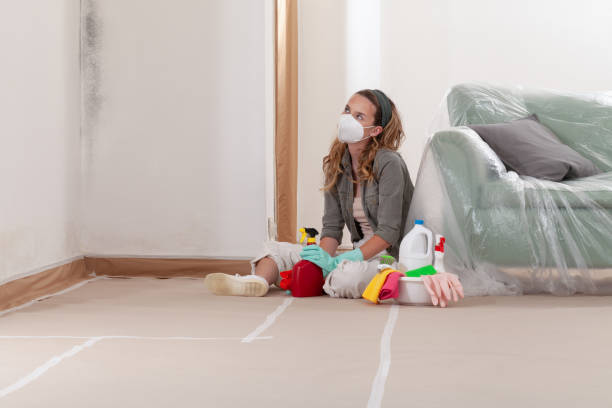 Reliable Mold Remediation contractor in Hialeah, FL by WQB Mold Removal